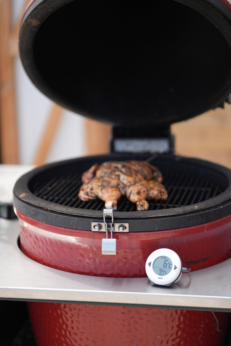 DOT - digital oven thermometer