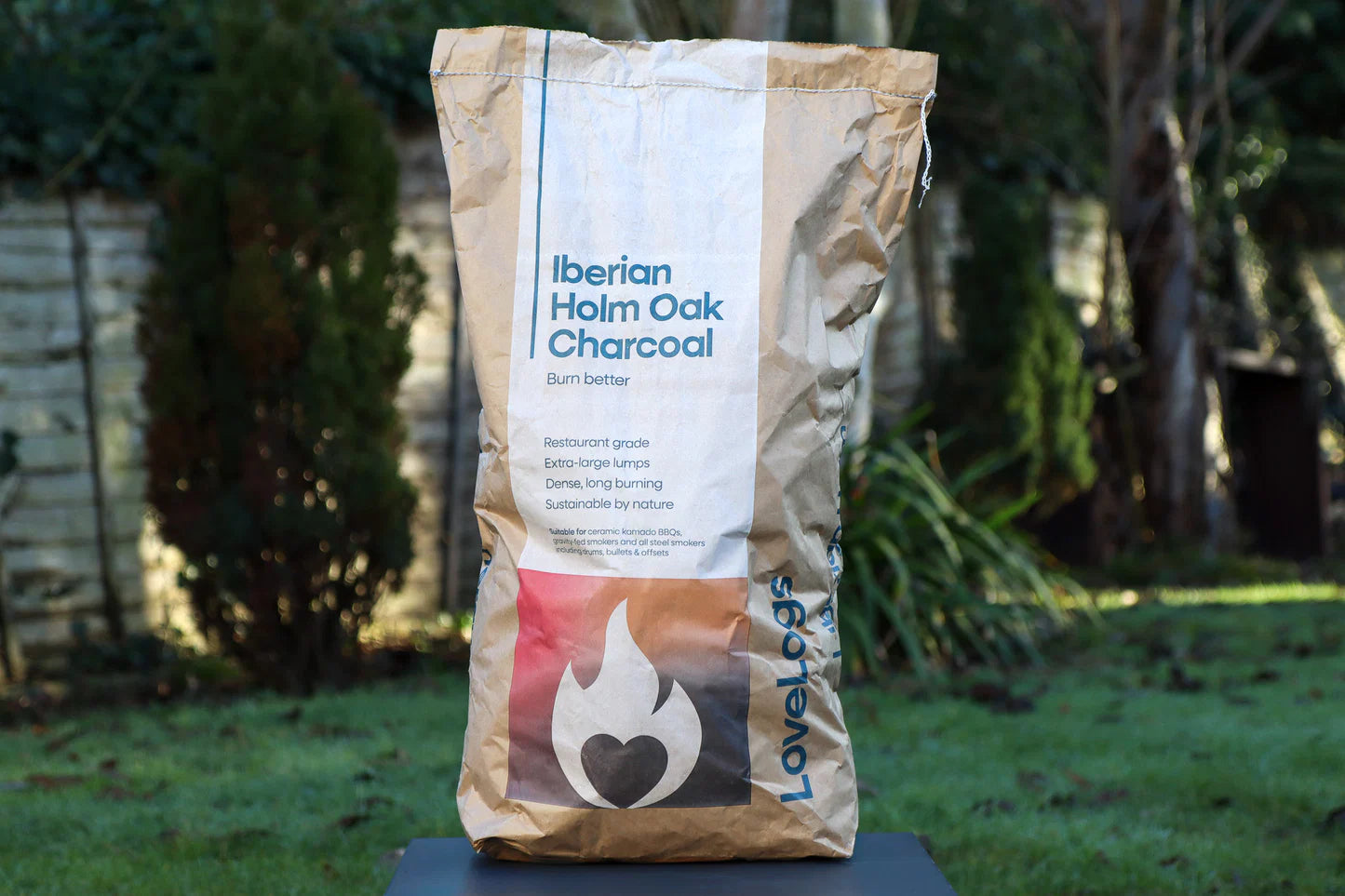 20kg Iberian Holm Oak Charcoal